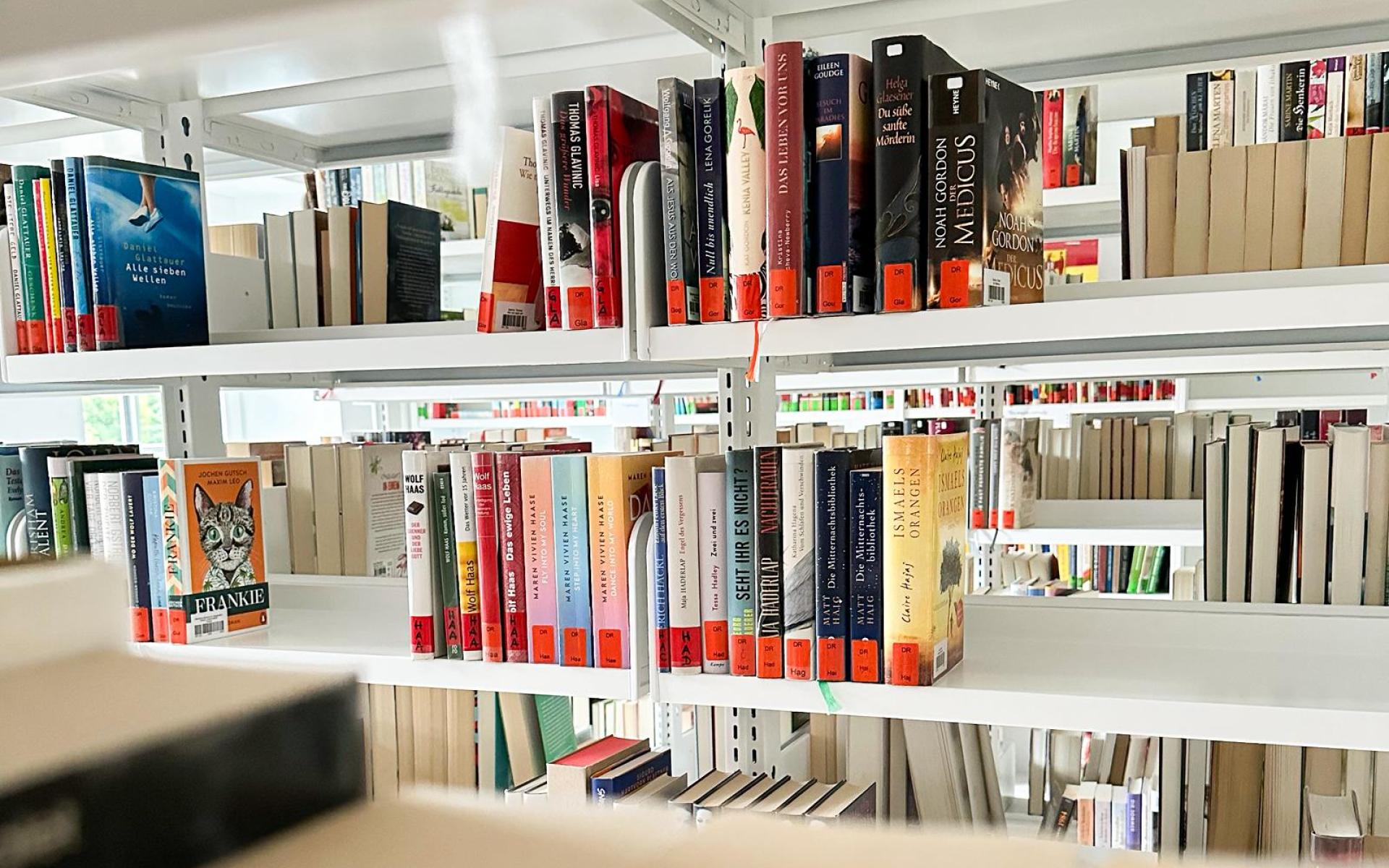 Blick durch Bücherregal.