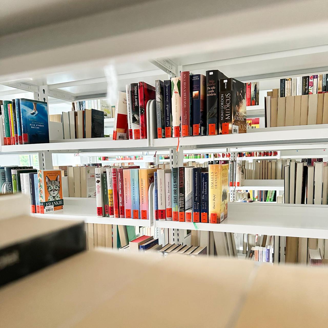 Blick durch Bücherregal.