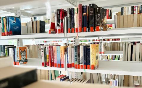 Blick durch Bücherregal.